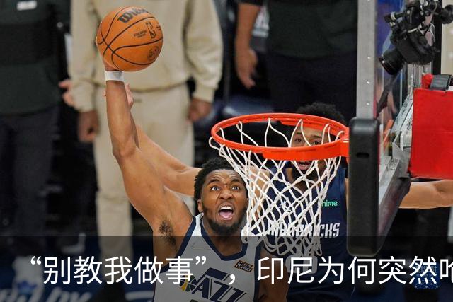 “别教我做事”，印尼为何突然呛声新加坡？