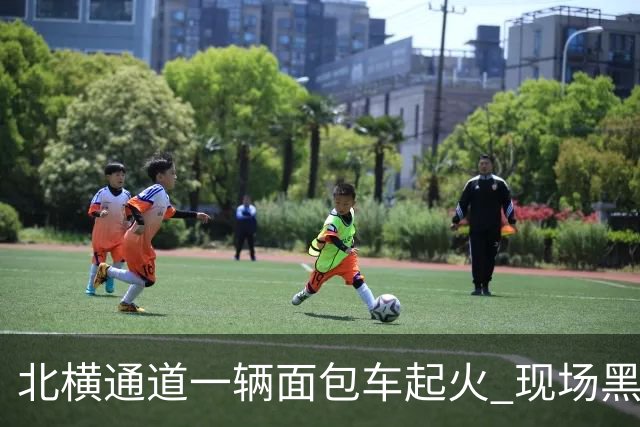 北横通道一辆面包车起火 现场黑烟滚滚
