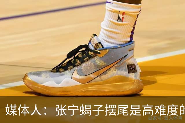 媒体人：张宁蝎子摆尾是高难度的武术技击动作 对篮球裁判有些超纲