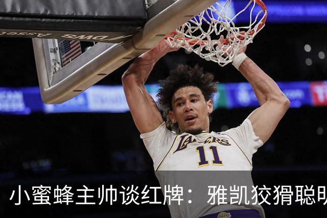 小蜜蜂主帅谈红牌：雅凯狡猾聪明，他没走向球而是走向亚尔莫柳克