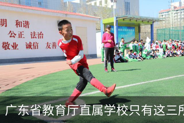 广东省教育厅直属学校只有这三所，华附省实都在里面，你家孩子有机会考进去吗？