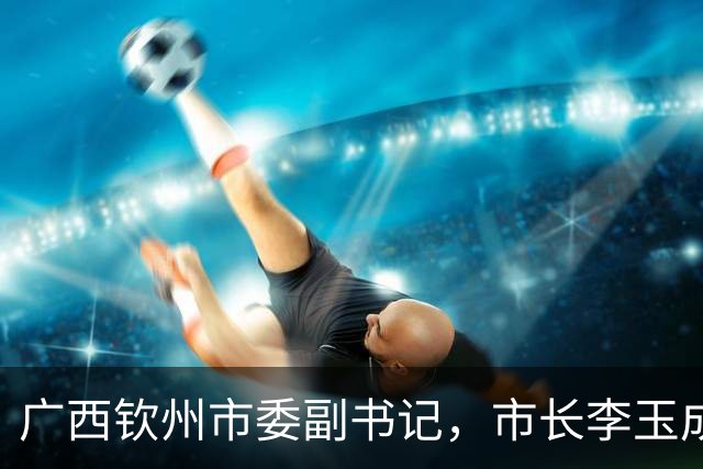 广西钦州市委副书记，市长李玉成简历