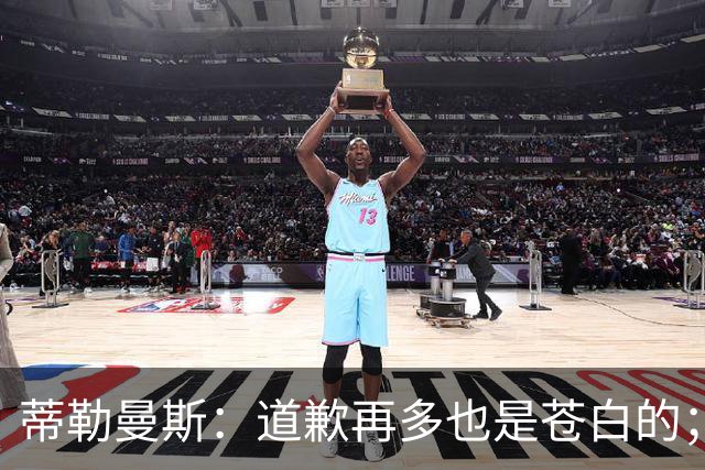蒂勒曼斯：道歉再多也是苍白的；我们几乎所有环节都脱节了