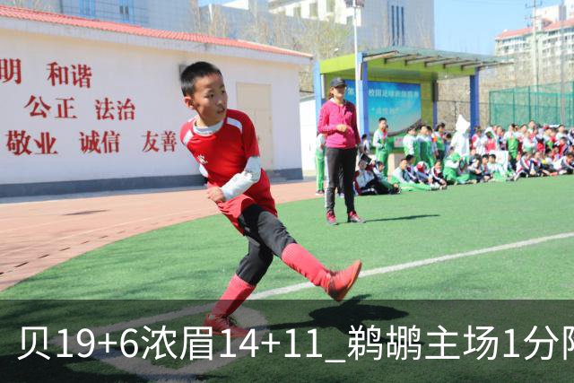 贝19+6浓眉14+11 鹈鹕主场1分险胜奇才