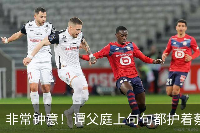 '非常钟意'！谭父庭上句句都护着蔡天凤，和她前夫家成了刺眼对比